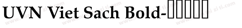 UVN Viet Sach Bold字体转换